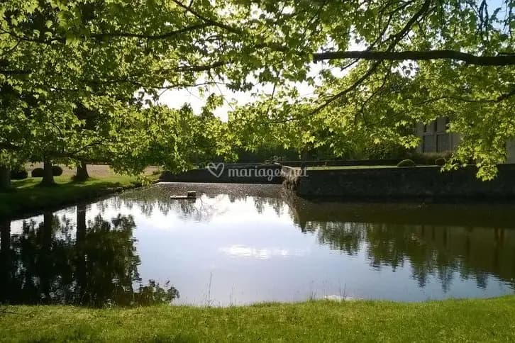 Château de Campet — photo 7