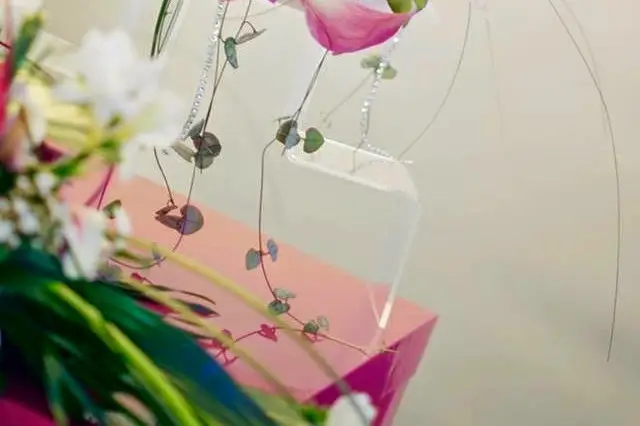 Eclosion Florale — photo 2