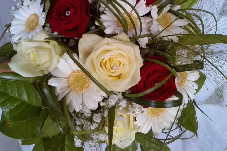 Eclosion Florale — photo 4