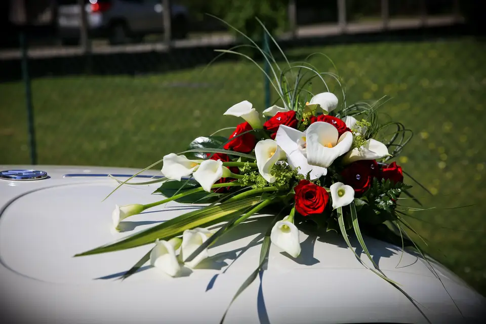 Eclosion Florale — photo 6