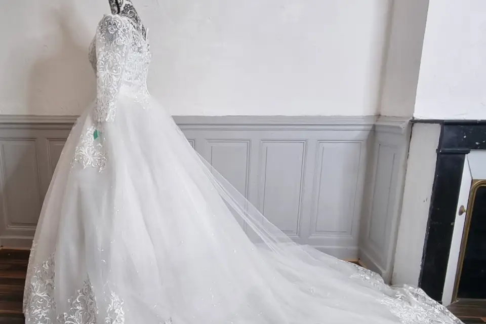 Beauty and the Dress — photo 3