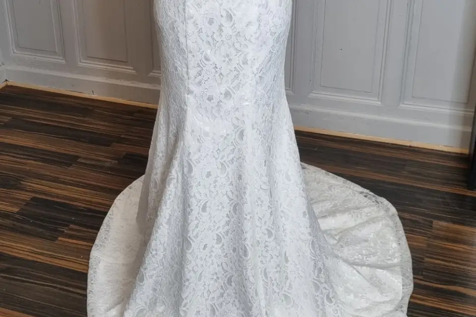 Beauty and the Dress — photo 2