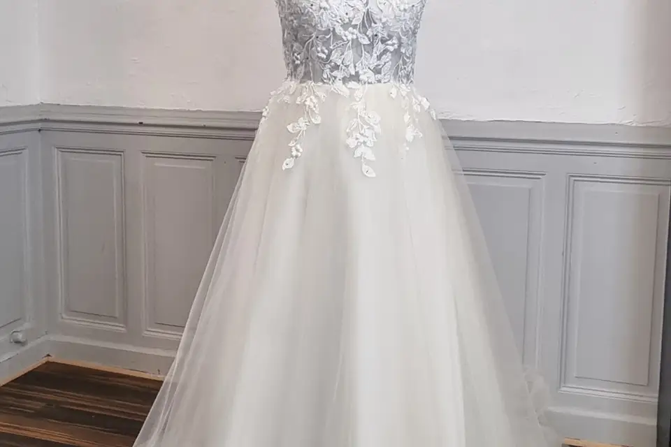 Beauty and the Dress — photo 8