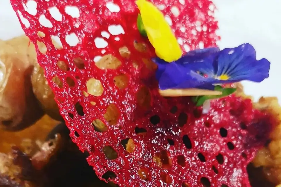 La toque de Sophie — photo 6