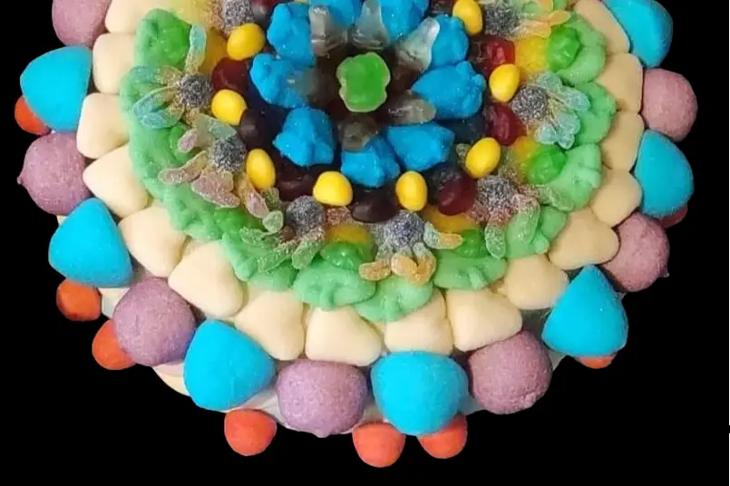 Festy Bonbec — photo 7