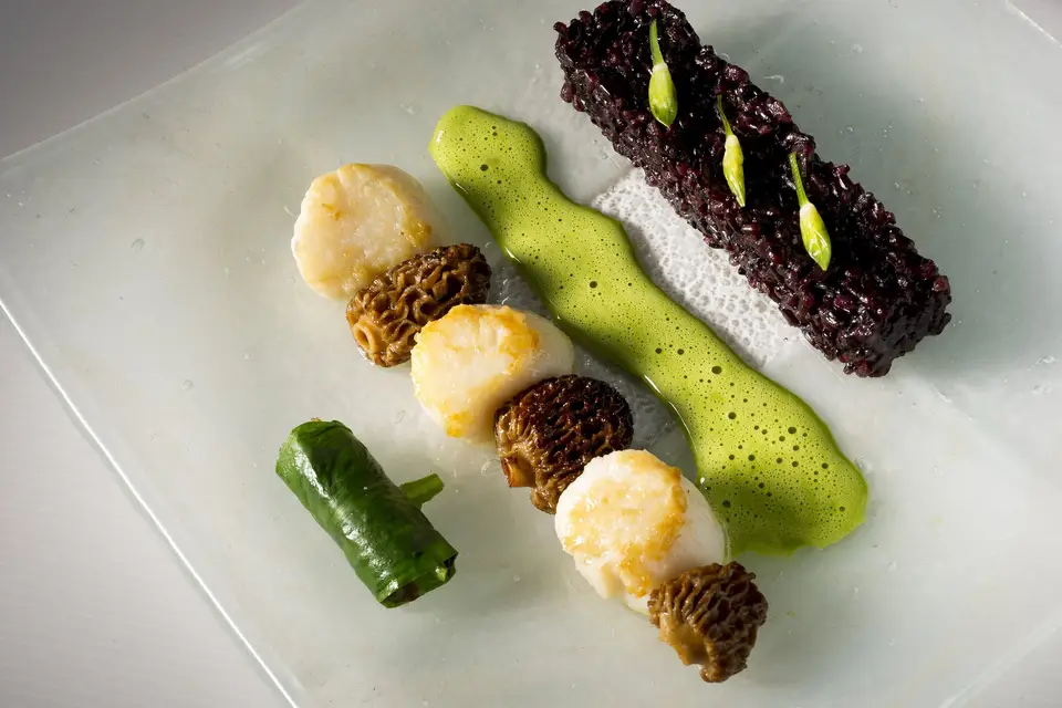 Martine Holveck — photo 7