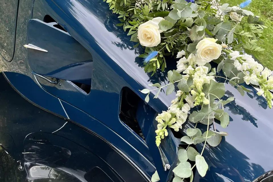 Laurence Margotte — photo 5