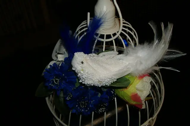 Jour de fête — photo 4