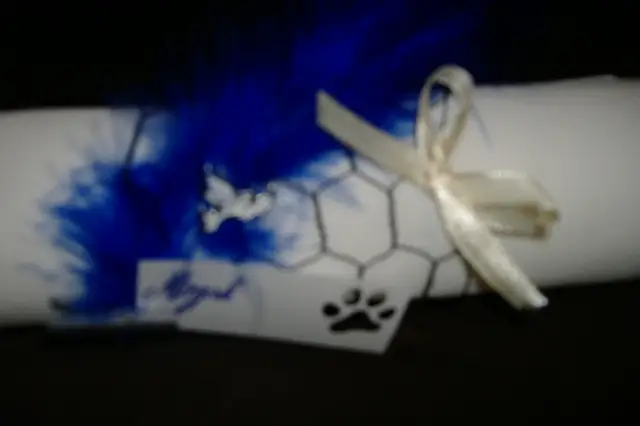 Jour de fête — photo 3