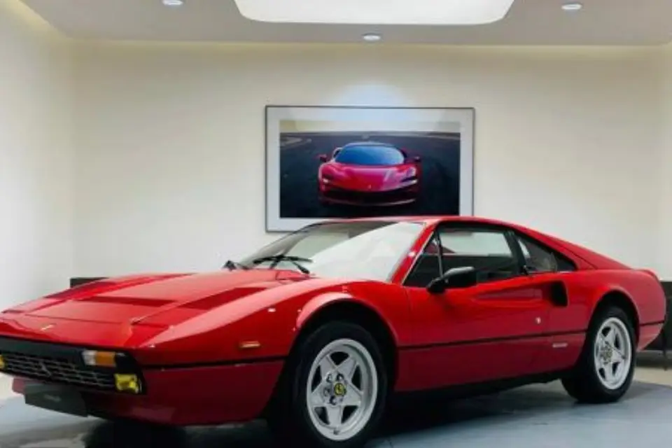 My Private Driver — photo 2