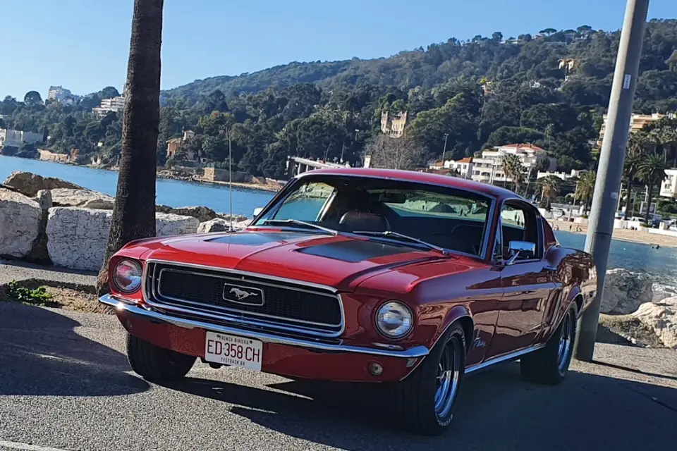 My Private Driver — photo 3