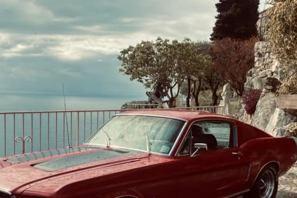 My Private Driver — photo 4