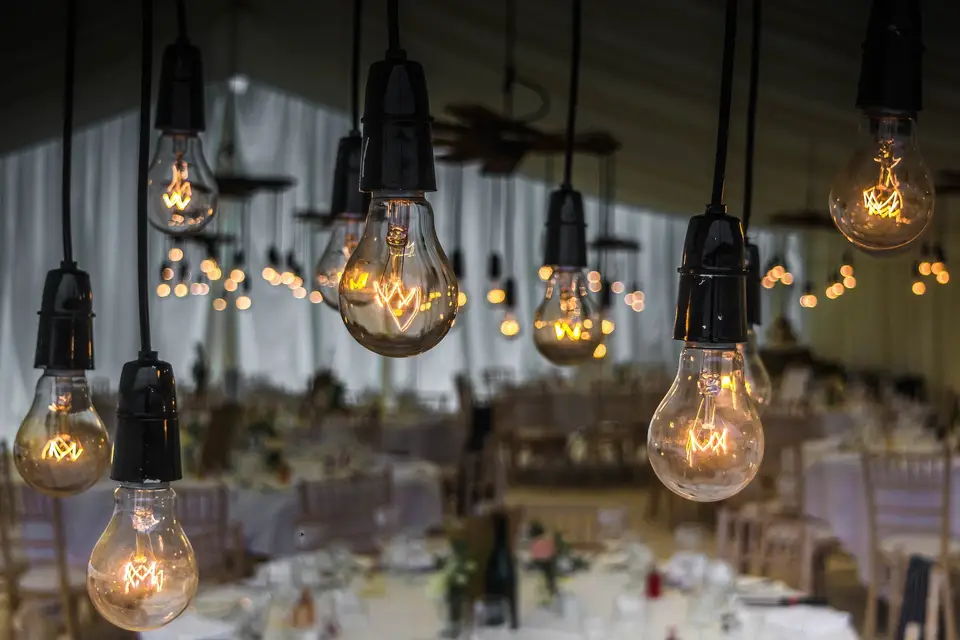 Mangue Production — photo 5