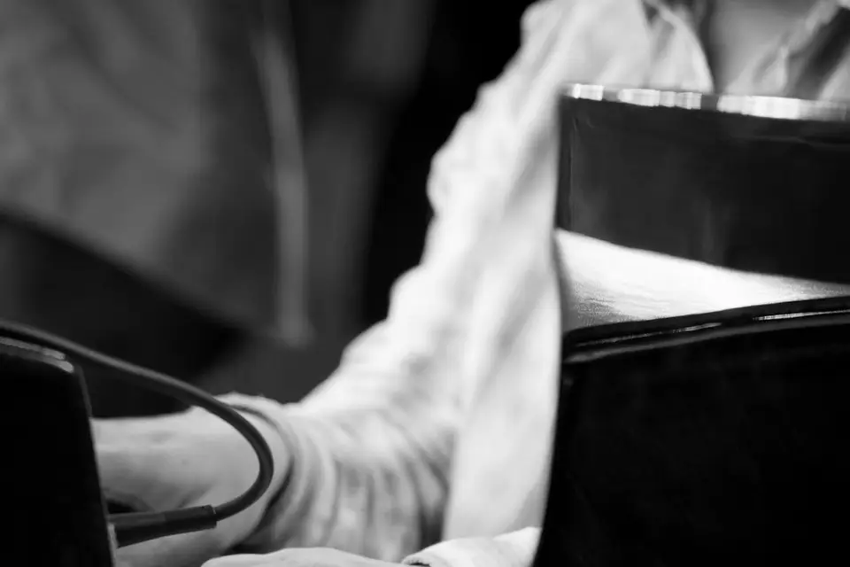 Midnight Song Jazz Trio — photo 4