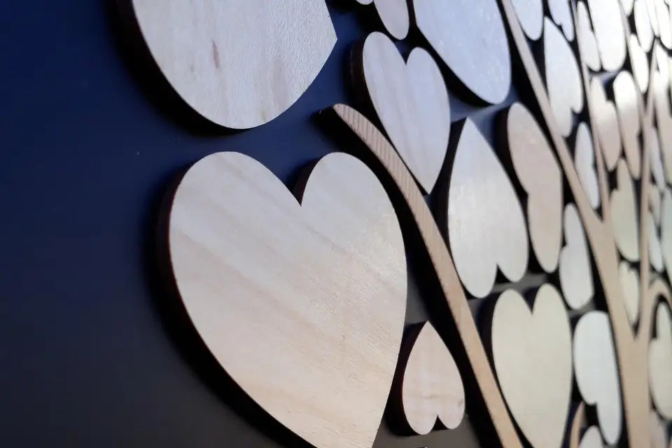 Lookline — photo 6