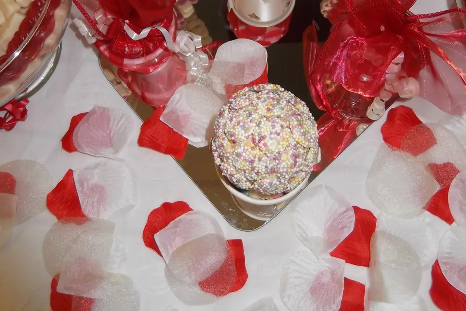 Arbre et Bonbon — photo 5