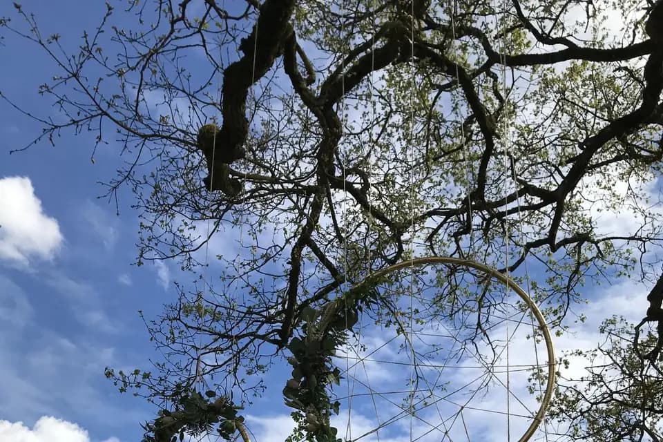 Al ô Fleurs — photo 4