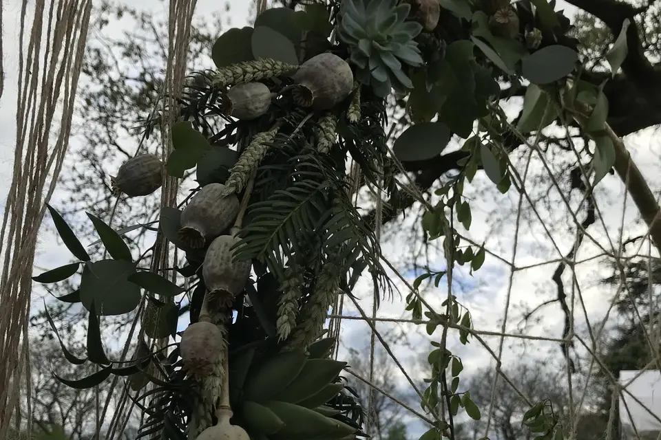 Al ô Fleurs — photo 5