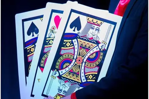 Laurent le Magicien — photo 2