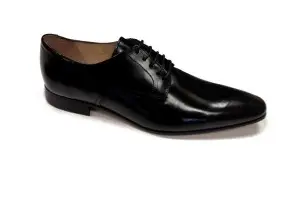 Alliance Elixir — photo 6