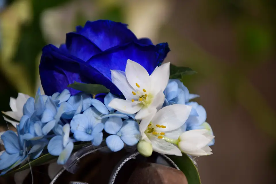 M.Photographies — photo 7