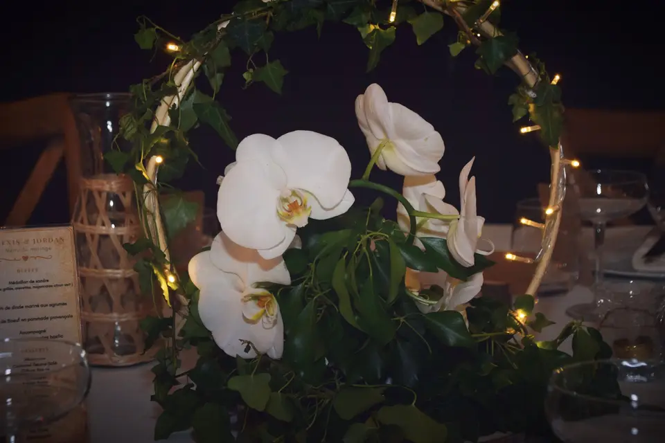 M.Photographies — photo 5