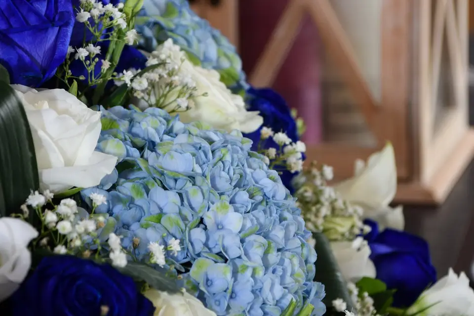 M.Photographies — photo 3