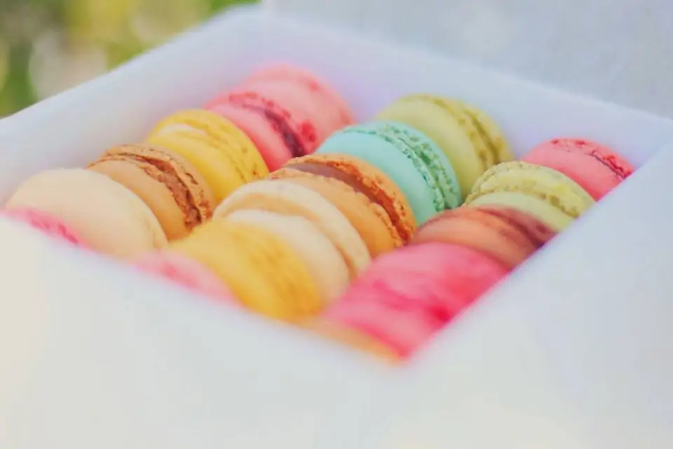 Pier Yves Menkhoff — photo 5