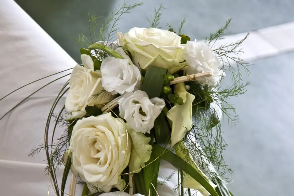 Infin'image — photo 3