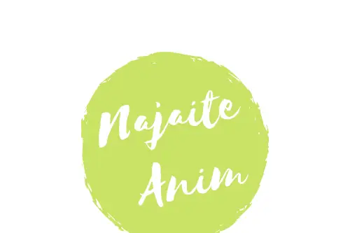 Agence CtaFête — photo 8