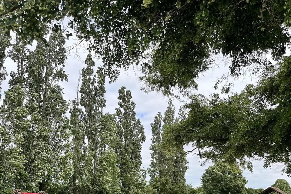 Musiance — photo 8