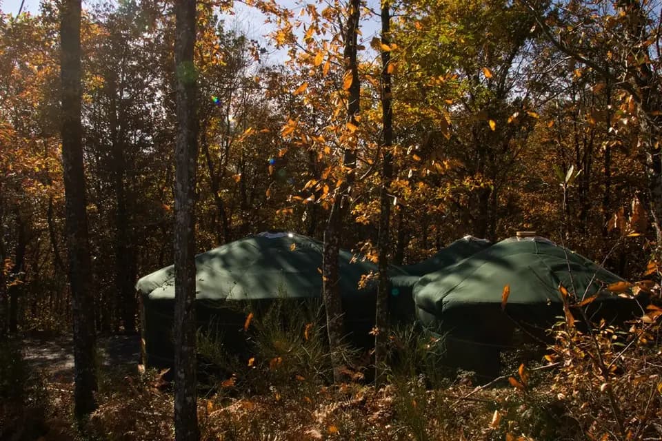 Yourte Cantal — photo 6