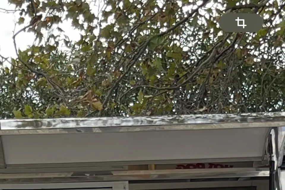 Atable66 — photo 3