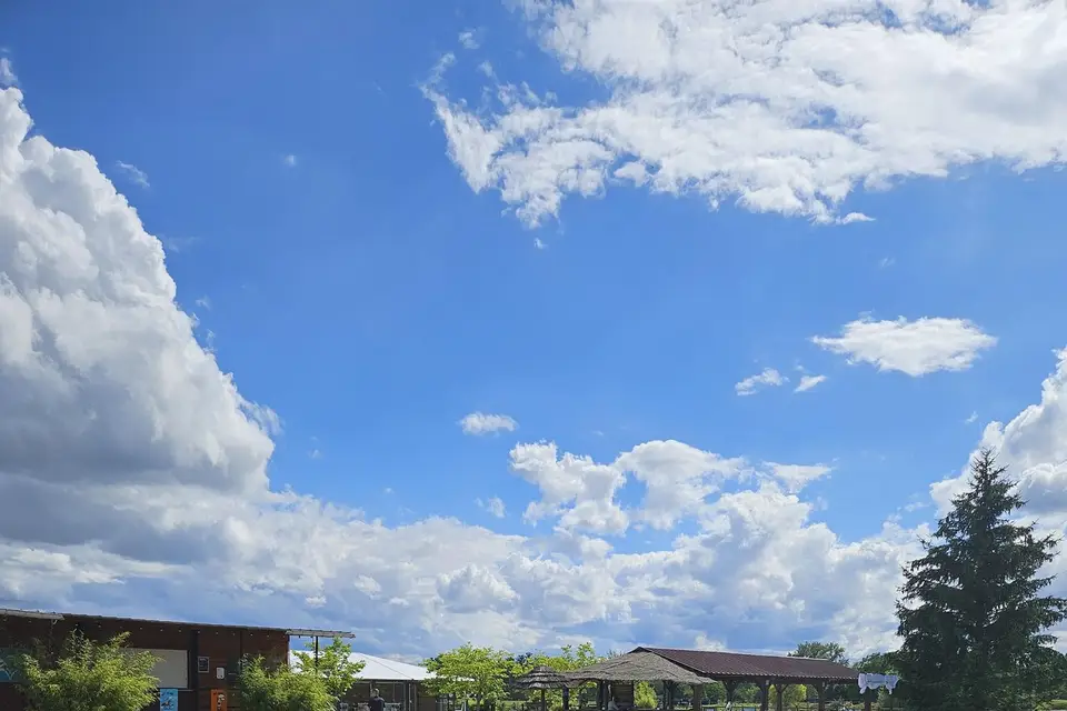 Domaine des rois — photo 1