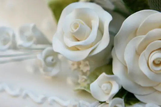 Hera Évènements — photo 4