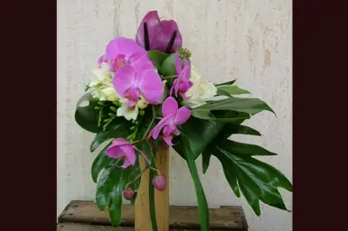 Florever — photo 8