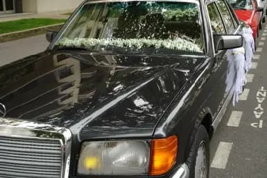 Florever — photo 2