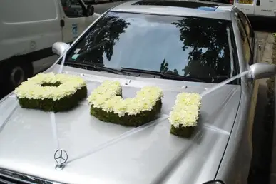 Florever — photo 1