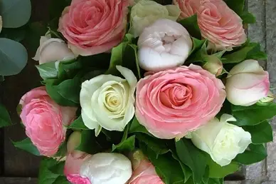 Florever — photo 6