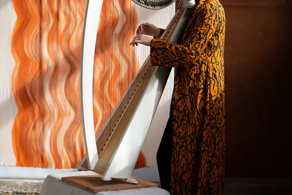 Delpharp — photo 5