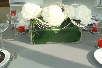 Parmi les Fleurs — photo 2