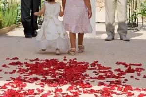 Parmi les Fleurs — photo 3