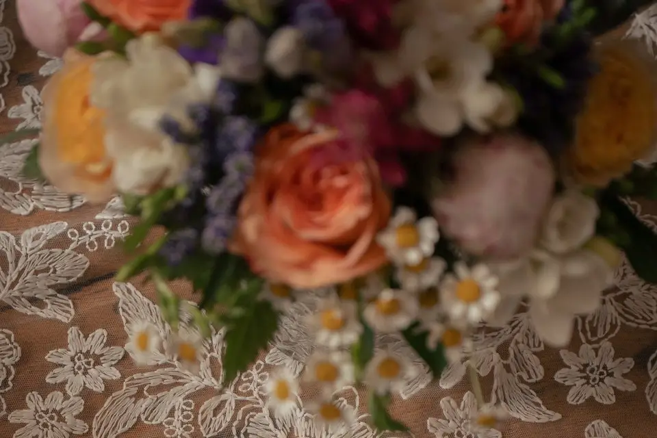 Kalix Photographie — photo 7