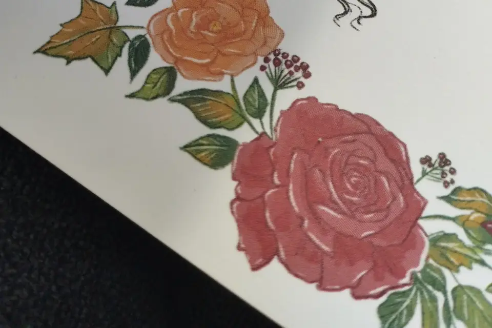 Stéphanie Dumonteil Illustration — photo 1