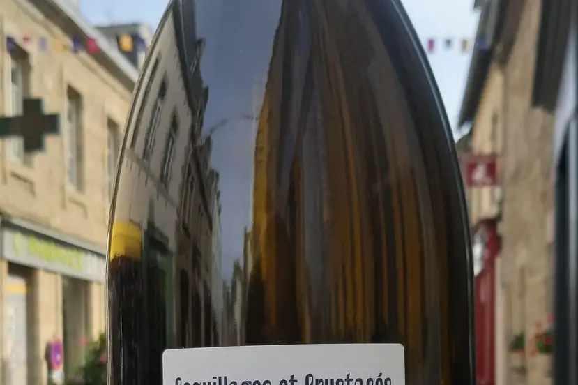 Vin d'Ouest — photo 4