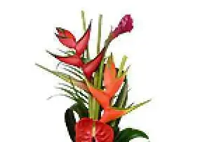 Floralies — photo 2