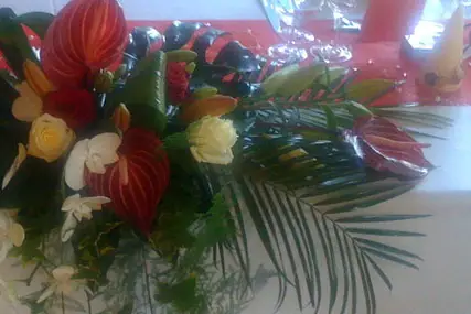 Floralies — photo 1