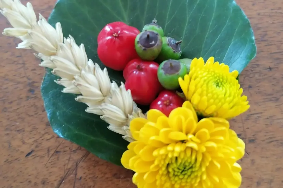 Ô Fleurs des Saisons — photo 7