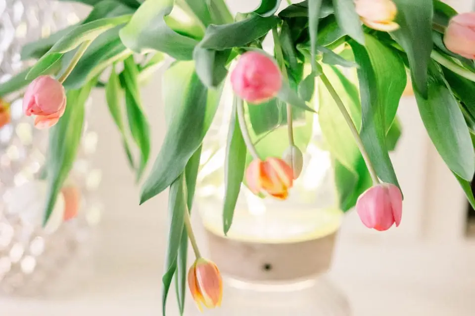 Délices Coco — photo 3