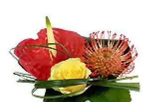 Floralies — photo 5